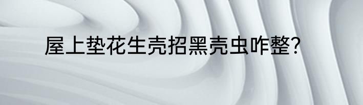 屋上垫花生壳招黑壳虫咋整？