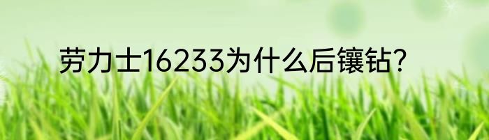 劳力士16233为什么后镶钻？