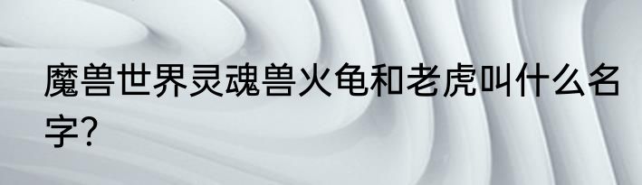 魔兽世界灵魂兽火龟和老虎叫什么名字？