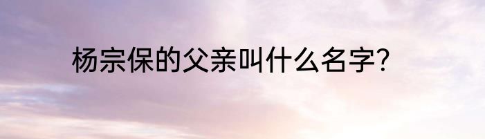 杨宗保的父亲叫什么名字？