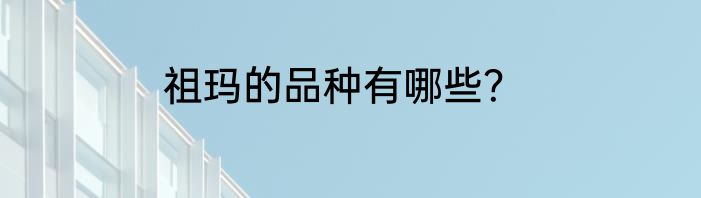 祖玛的品种有哪些？