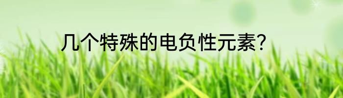 几个特殊的电负性元素？