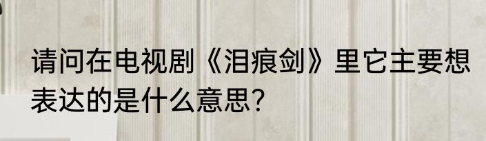 请问在电视剧《泪痕剑》里它主要想表达的是什么意思？
