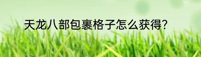 天龙八部包裹格子怎么获得？