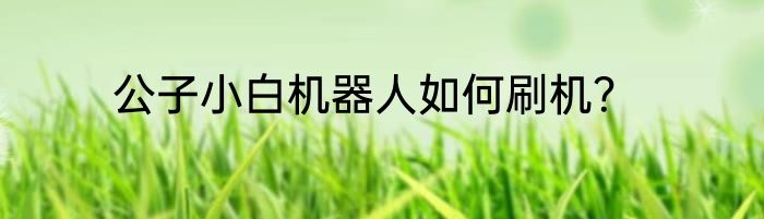 公子小白机器人如何刷机？