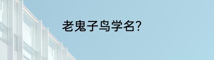 老鬼子鸟学名？