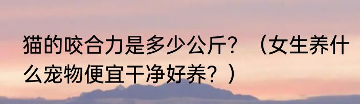猫的咬合力是多少公斤？（女生养什么宠物便宜干净好养？）