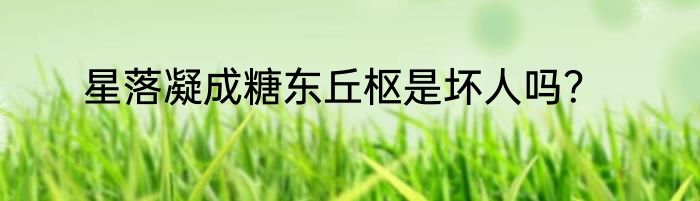 星落凝成糖东丘枢是坏人吗？