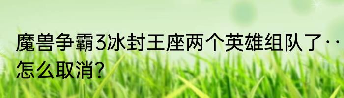 魔兽争霸3冰封王座两个英雄组队了··怎么取消？