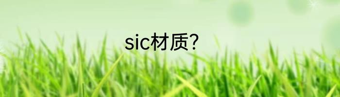 sic材质？