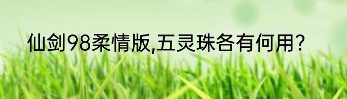 仙剑98柔情版,五灵珠各有何用？