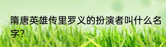 隋唐英雄传里罗义的扮演者叫什么名字？