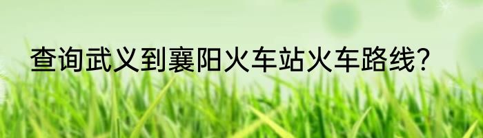查询武义到襄阳火车站火车路线？