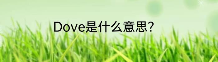 Dove是什么意思？