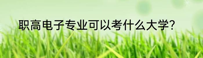 职高电子专业可以考什么大学？