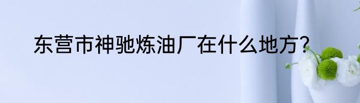 东营市神驰炼油厂在什么地方？