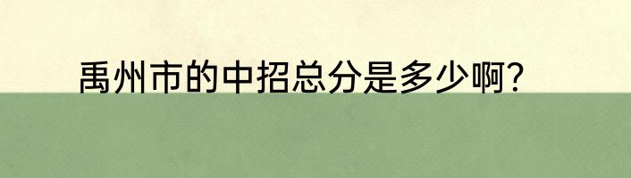 禹州市的中招总分是多少啊？