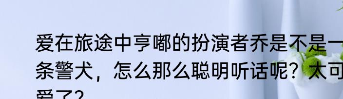 爱在旅途中亨嘟的扮演者乔是不是一条警犬，怎么那么聪明听话呢？太可爱了？