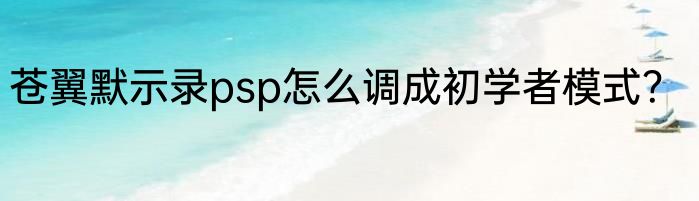 苍翼默示录psp怎么调成初学者模式？