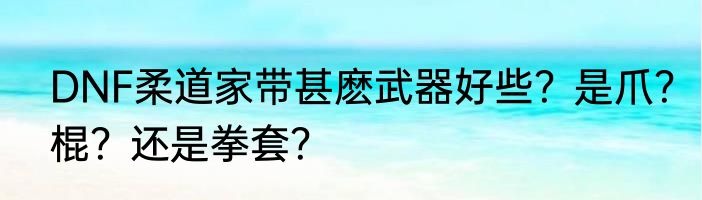 DNF柔道家带甚麽武器好些？是爪？棍？还是拳套？