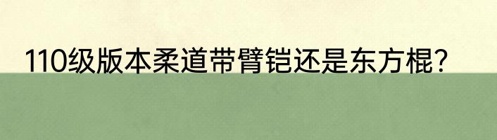 110级版本柔道带臂铠还是东方棍？