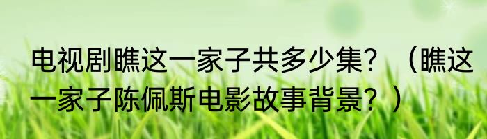 电视剧瞧这一家子共多少集？（瞧这一家子陈佩斯电影故事背景？）