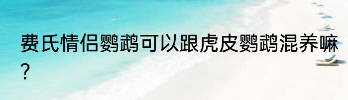 费氏情侣鹦鹉可以跟虎皮鹦鹉混养嘛？