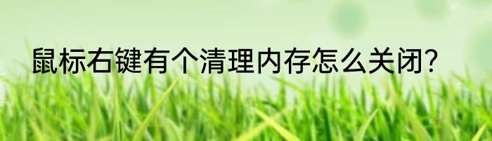 鼠标右键有个清理内存怎么关闭？
