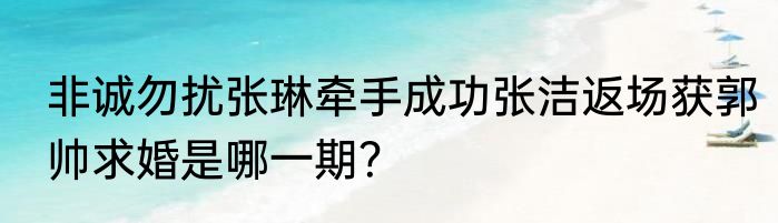 非诚勿扰张琳牵手成功张洁返场获郭帅求婚是哪一期？