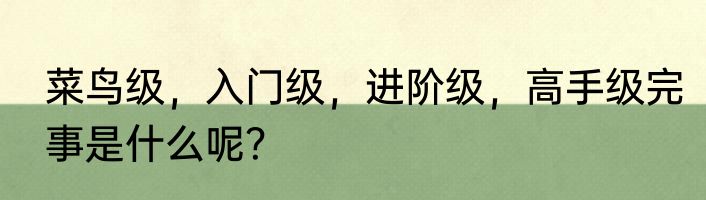菜鸟级，入门级，进阶级，高手级完事是什么呢？