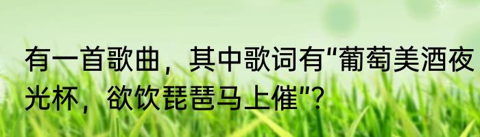 有一首歌曲，其中歌词有“葡萄美酒夜光杯，欲饮琵琶马上催”？