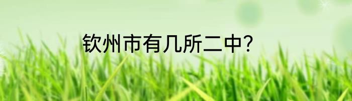 钦州市有几所二中？