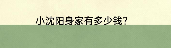 小沈阳身家有多少钱？