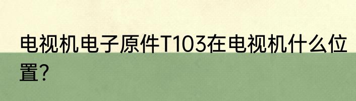 电视机电子原件T103在电视机什么位置？
