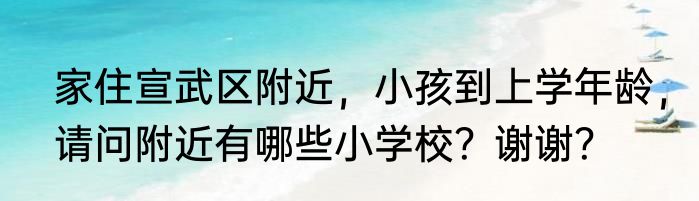 家住宣武区附近，小孩到上学年龄，请问附近有哪些小学校？谢谢？