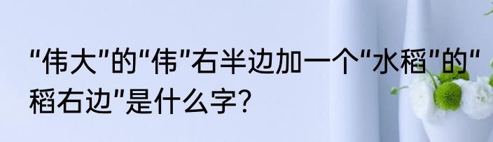 “伟大”的“伟”右半边加一个“水稻”的“稻右边”是什么字？