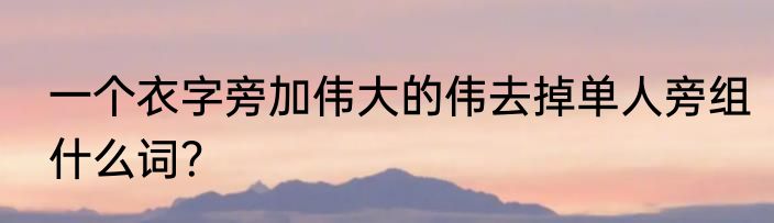 一个衣字旁加伟大的伟去掉单人旁组什么词？