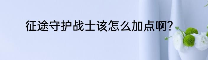 征途守护战士该怎么加点啊？