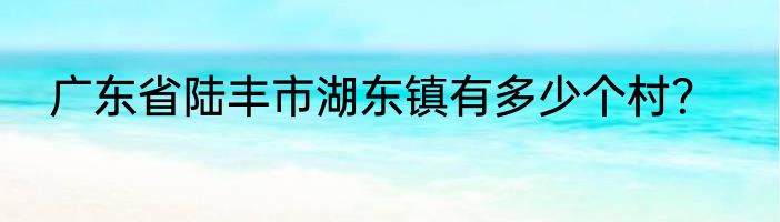 广东省陆丰市湖东镇有多少个村？
