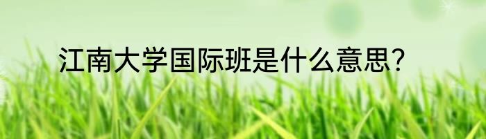 江南大学国际班是什么意思？