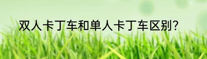 双人卡丁车和单人卡丁车区别？