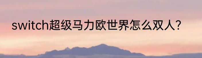 switch超级马力欧世界怎么双人？
