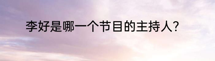 李好是哪一个节目的主持人？