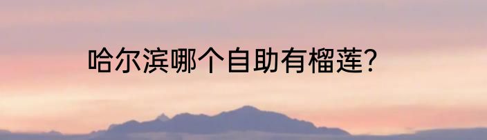 哈尔滨哪个自助有榴莲？