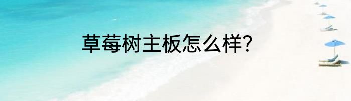草莓树主板怎么样？