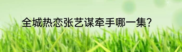 全城热恋张艺谋牵手哪一集？