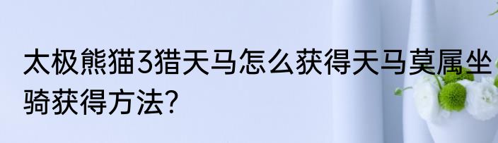 太极熊猫3猎天马怎么获得天马莫属坐骑获得方法？