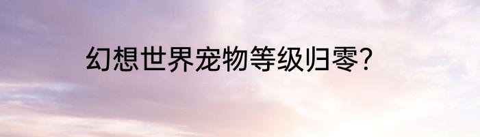 幻想世界宠物等级归零？