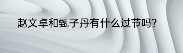 赵文卓和甄子丹有什么过节吗？