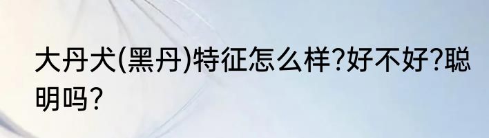 大丹犬(黑丹)特征怎么样?好不好?聪明吗？